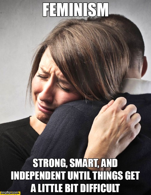 image tagged in funny,feminism | made w/ Imgflip meme maker