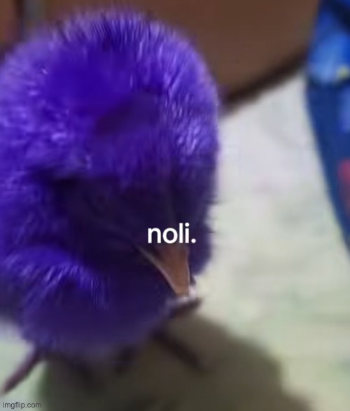 Forsaken fans when they see something purple: | image tagged in memes,birds,roblox,forsaken | made w/ Imgflip meme maker