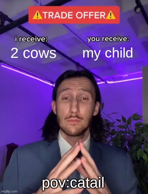 Trade Offer | 2 cows; my child; pov:catail | image tagged in trade offer | made w/ Imgflip meme maker
