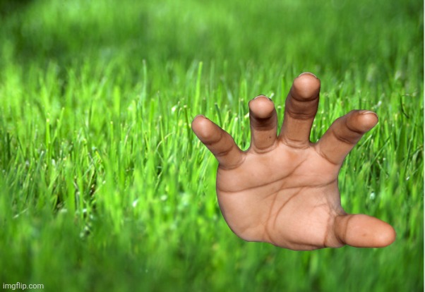 grass is greener | image tagged in grass is greener | made w/ Imgflip meme maker