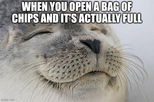 I love it when the bag is full :) | WHEN YOU OPEN A BAG OF CHIPS AND IT'S ACTUALLY FULL | image tagged in memes,satisfied seal,chips,full | made w/ Imgflip meme maker