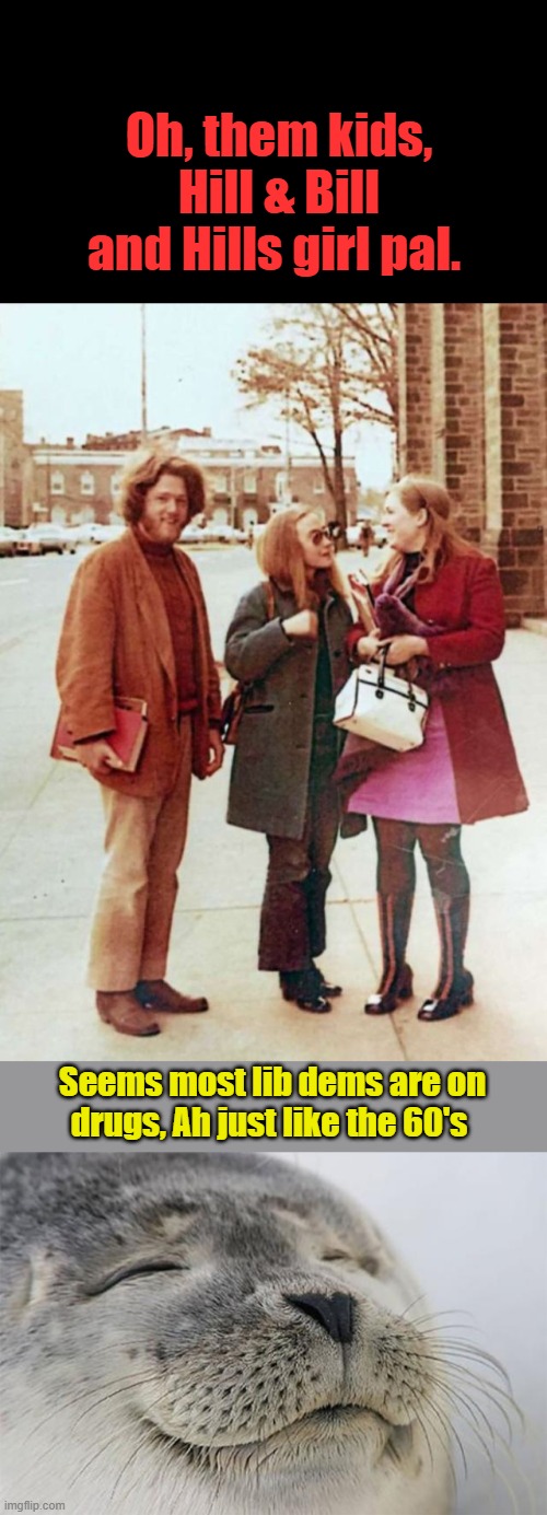 Took 10-20 years to recover from the 60's I'm thinking 20-30 this goes around. If at all, might be tiime to go to the woods. | Oh, them kids, Hill & Bill and Hills girl pal. Seems most lib dems are on drugs, Ah just like the 60's | image tagged in memes,satisfied seal | made w/ Imgflip meme maker