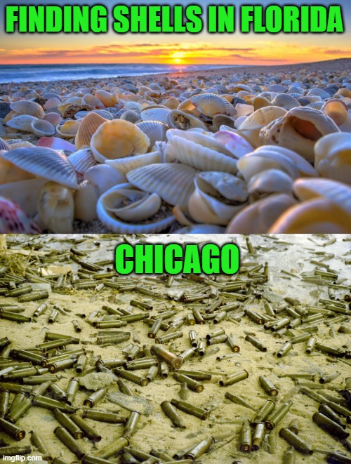 Shells | FINDING SHELLS IN FLORIDA; CHICAGO | image tagged in finding shells | made w/ Imgflip meme maker