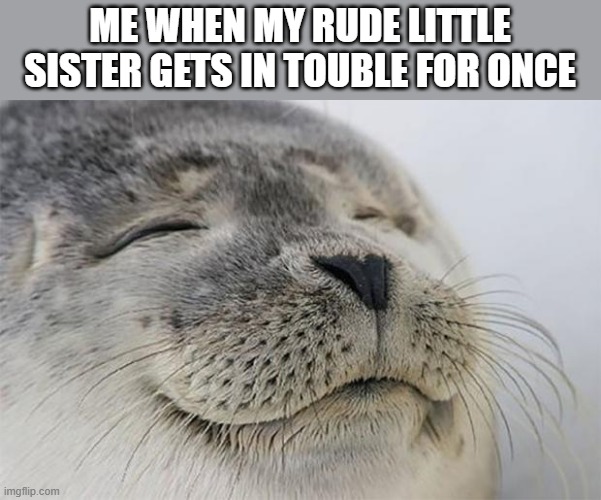 Satisfied Seal | ME WHEN MY RUDE LITTLE SISTER GETS IN TOUBLE FOR ONCE | image tagged in memes,satisfied seal | made w/ Imgflip meme maker