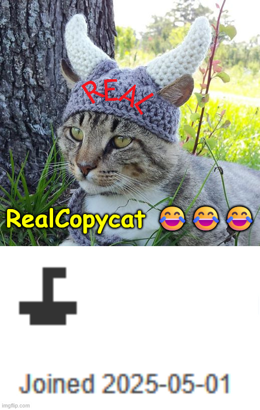 RealCopycat 😂😂😂 | image tagged in viking cat crochete hat | made w/ Imgflip meme maker