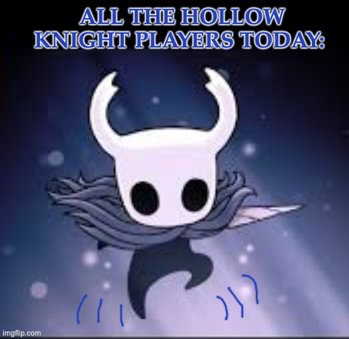 "Boys, we won" | ALL THE HOLLOW KNIGHT PLAYERS TODAY: | image tagged in hollow knight ghost,video games,silk song,iykyk,hollow knight | made w/ Imgflip meme maker