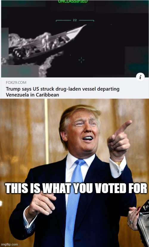 What I Voted For | THIS IS WHAT YOU VOTED FOR | image tagged in donal trump birthday | made w/ Imgflip meme maker