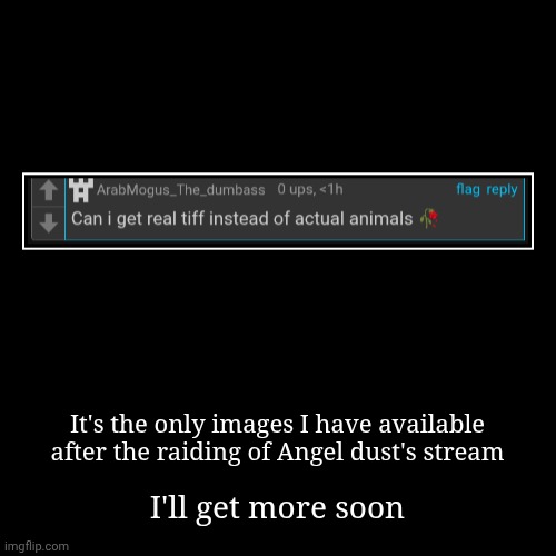 It's the only images I have available after the raiding of Angel dust's stream | I'll get more soon | image tagged in funny,demotivationals | made w/ Imgflip demotivational maker