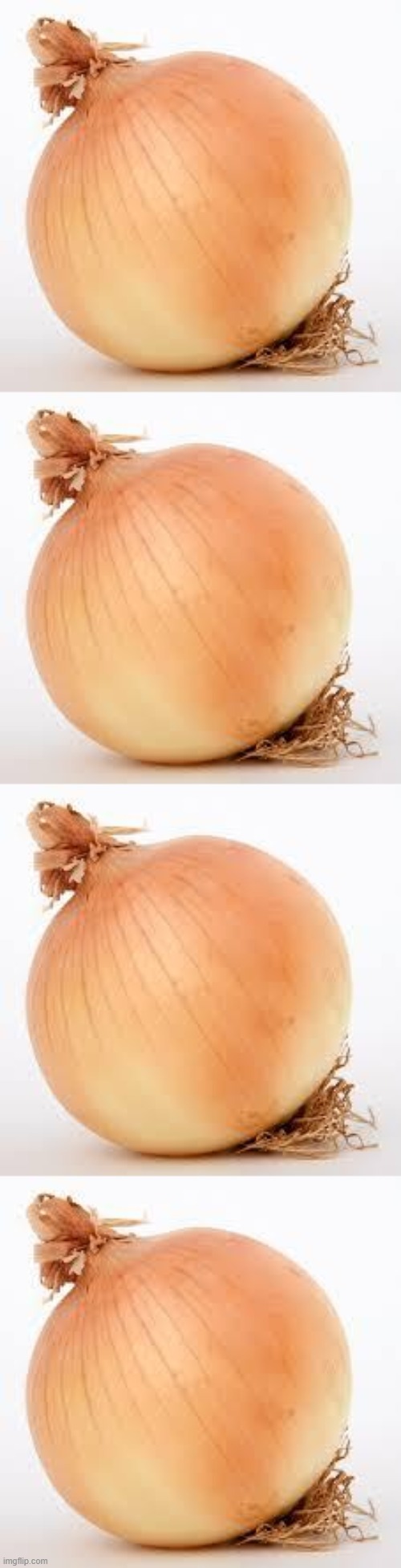 image tagged in onion | made w/ Imgflip meme maker