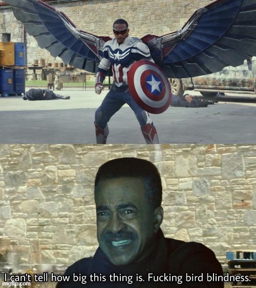 Bird Blindess!!!! | image tagged in peacemaker,falcon | made w/ Imgflip meme maker