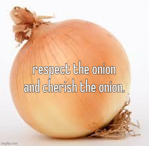 Onion | respect the onion and cherish the onion. | image tagged in onion | made w/ Imgflip meme maker