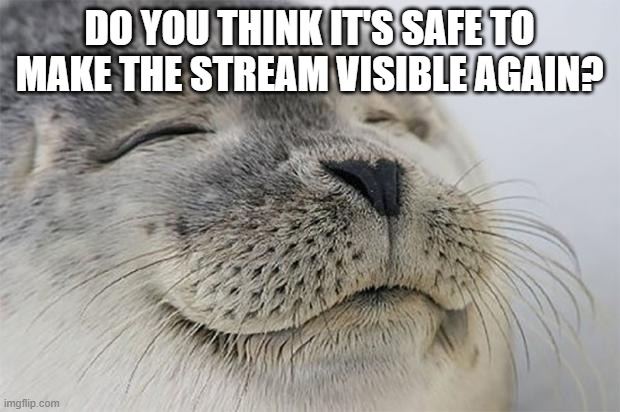 Satisfied Seal | DO YOU THINK IT'S SAFE TO MAKE THE STREAM VISIBLE AGAIN? | image tagged in memes,satisfied seal,sans of topic | made w/ Imgflip meme maker