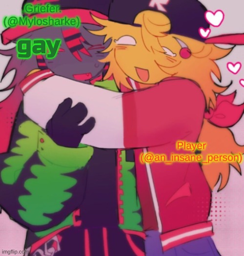 Griefer and Insane shared temp | gay | image tagged in griefer and insane shared temp | made w/ Imgflip meme maker