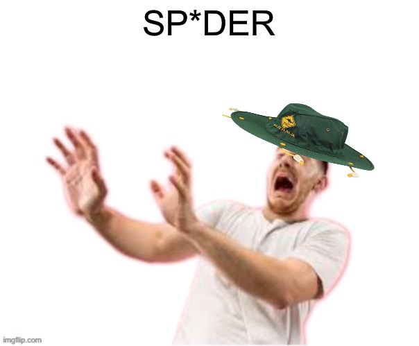 fr*nce but Australian | SP*DER | image tagged in he left all caps on custom | made w/ Imgflip meme maker