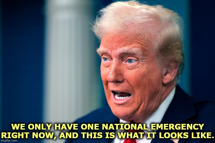 Stroke? Several strokes? | WE ONLY HAVE ONE NATIONAL EMERGENCY RIGHT NOW, AND THIS IS WHAT IT LOOKS LIKE. | image tagged in trump crazy madness dementia insanity senile,trump,crazy,madness,dementia,insanity | made w/ Imgflip meme maker