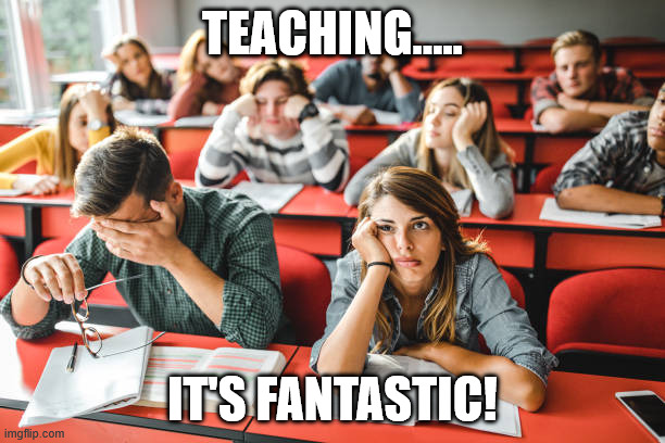 Bored | TEACHING..... IT'S FANTASTIC! | image tagged in bored | made w/ Imgflip meme maker