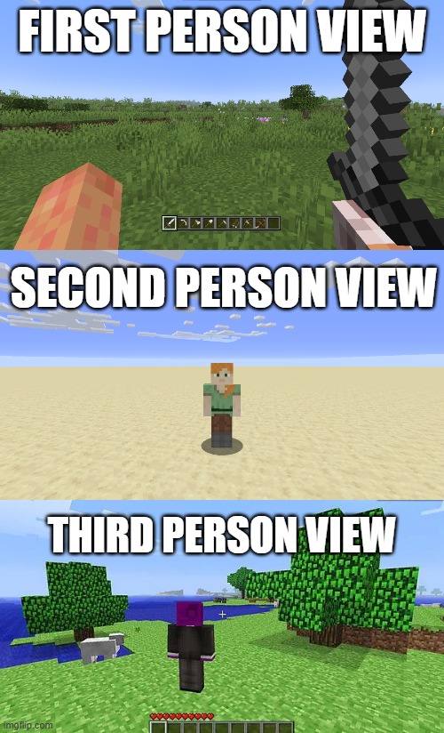 Just to clear it up | FIRST PERSON VIEW; SECOND PERSON VIEW; THIRD PERSON VIEW | image tagged in minecraft,different views,clarification,why did i waste time making this | made w/ Imgflip meme maker