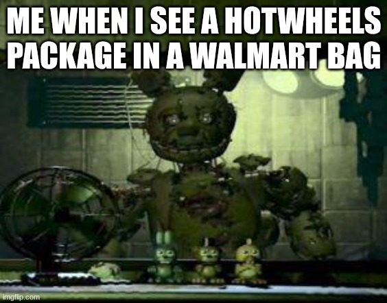 FNAF Springtrap in window | ME WHEN I SEE A HOTWHEELS PACKAGE IN A WALMART BAG | image tagged in fnaf springtrap in window | made w/ Imgflip meme maker