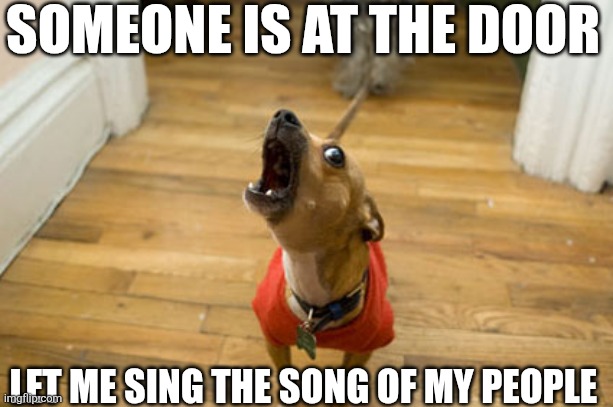 Someone Is At The Door Let Me Sing The Song Of My People | SOMEONE IS AT THE DOOR; LET ME SING THE SONG OF MY PEOPLE | image tagged in chrisjoines1 | made w/ Imgflip meme maker