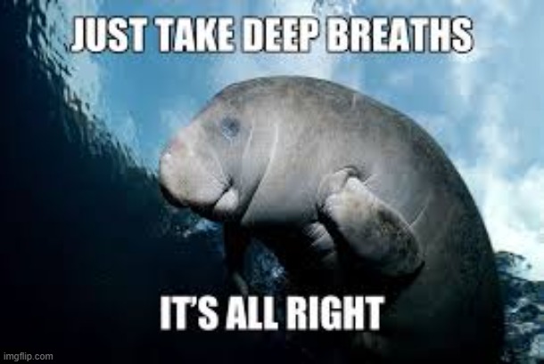 Deep Breaths | image tagged in repost | made w/ Imgflip meme maker