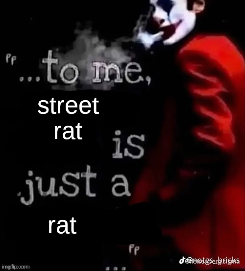 To me X is just a X | street rat; rat | image tagged in to me x is just a x | made w/ Imgflip meme maker