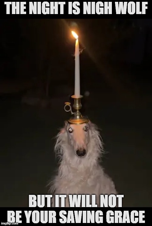 Sighthound | THE NIGHT IS NIGH WOLF; BUT IT WILL NOT BE YOUR SAVING GRACE | image tagged in rmk | made w/ Imgflip meme maker