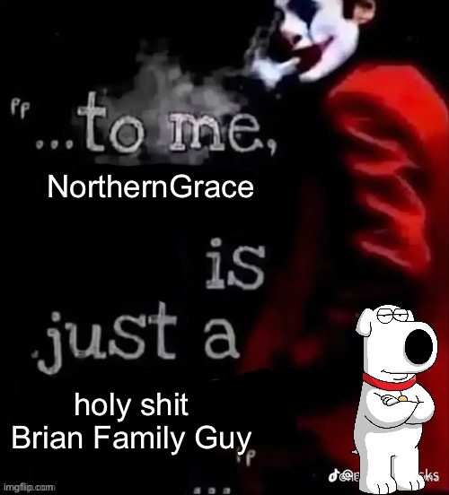 To me X is just a X | NorthernGrace; holy shit Brian Family Guy | image tagged in to me x is just a x | made w/ Imgflip meme maker
