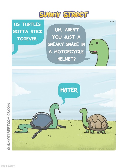 Sneaky-snake… | image tagged in comics,sunny street,turtle,sneaky snake,helmet | made w/ Imgflip meme maker