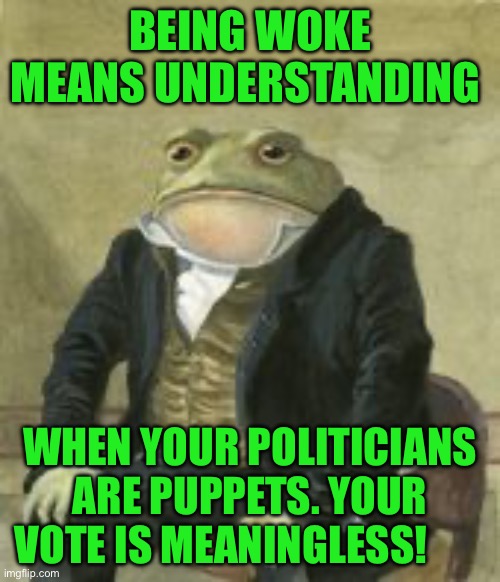 Colonel Toad | BEING WOKE MEANS UNDERSTANDING; WHEN YOUR POLITICIANS ARE PUPPETS. YOUR VOTE IS MEANINGLESS! | image tagged in colonel toad | made w/ Imgflip meme maker