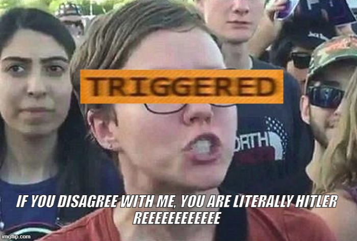 REEEEEeeeeeEEEEEEEEEEeeeeeee | IF YOU DISAGREE WITH ME, YOU ARE LITERALLY HITLER 
REEEEEEEEEEEE | image tagged in triggered liberal,hitler,liberal logic | made w/ Imgflip meme maker