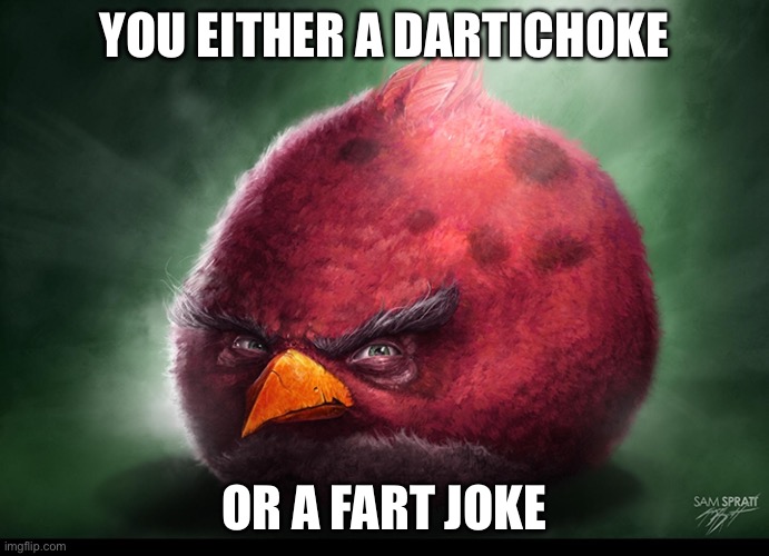 Realistic Terrance | YOU EITHER A DARTICHOKE OR A FART JOKE | image tagged in realistic terrance | made w/ Imgflip meme maker