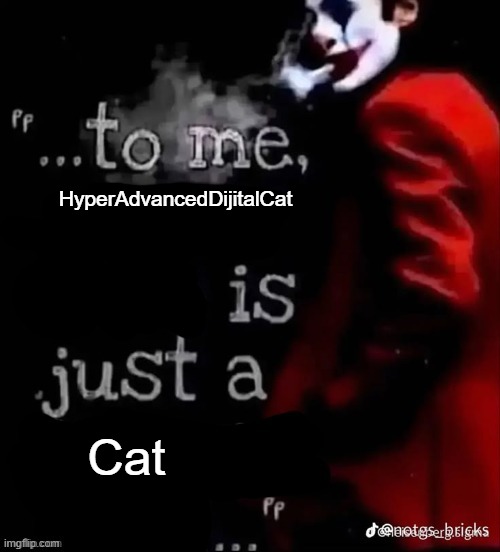 To me X is just a X | HyperAdvancedDijitalCat; Cat | image tagged in to me x is just a x | made w/ Imgflip meme maker