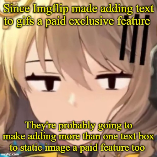 Anis | Since Imgflip made adding text to gifs a paid exclusive feature; They're probably going to make adding more than one text box to static image a paid feature too | image tagged in anis | made w/ Imgflip meme maker