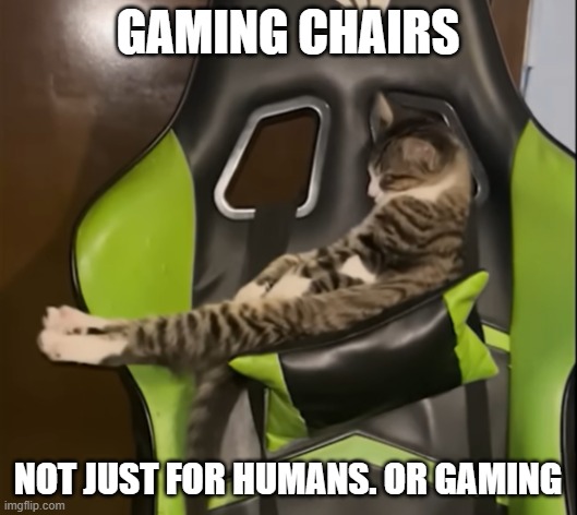 Why is cat sleeping like dat? | GAMING CHAIRS; NOT JUST FOR HUMANS. OR GAMING | made w/ Imgflip meme maker