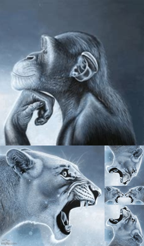 drama lore | image tagged in tiger yell at pondering monkey | made w/ Imgflip meme maker
