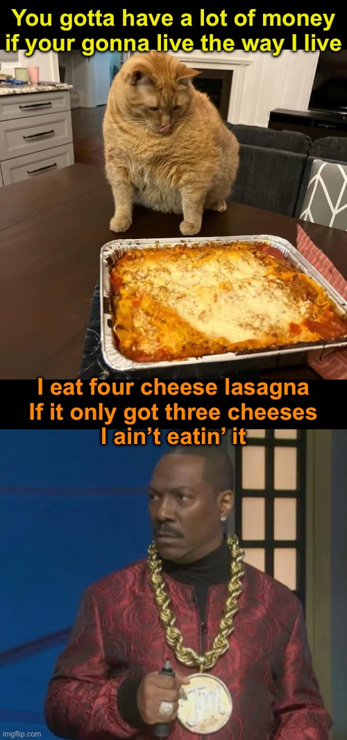 Four Cheeses | You gotta have a lot of money if your gonna live the way I live; I eat four cheese lasagna
If it only got three cheeses
I ain’t eatin’ it | image tagged in funny memes,snl,eddie murphy,tracy morgan,lasagna | made w/ Imgflip meme maker