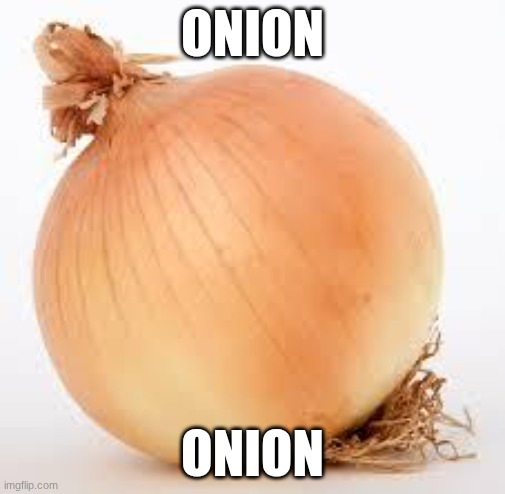 onion | ONION; ONION | image tagged in onion | made w/ Imgflip meme maker