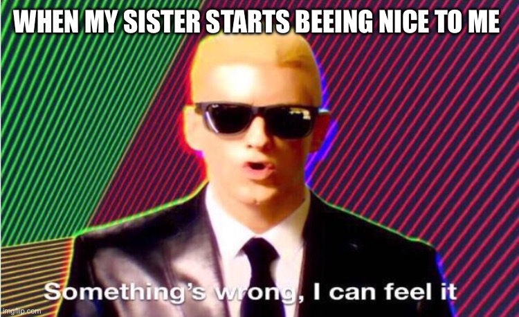 Something’s wrong | WHEN MY SISTER STARTS BEEING NICE TO ME | image tagged in something s wrong | made w/ Imgflip meme maker
