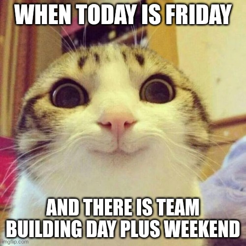 FRIDAY!!!!! | WHEN TODAY IS FRIDAY; AND THERE IS TEAM BUILDING DAY PLUS WEEKEND | image tagged in memes,smiling cat | made w/ Imgflip meme maker