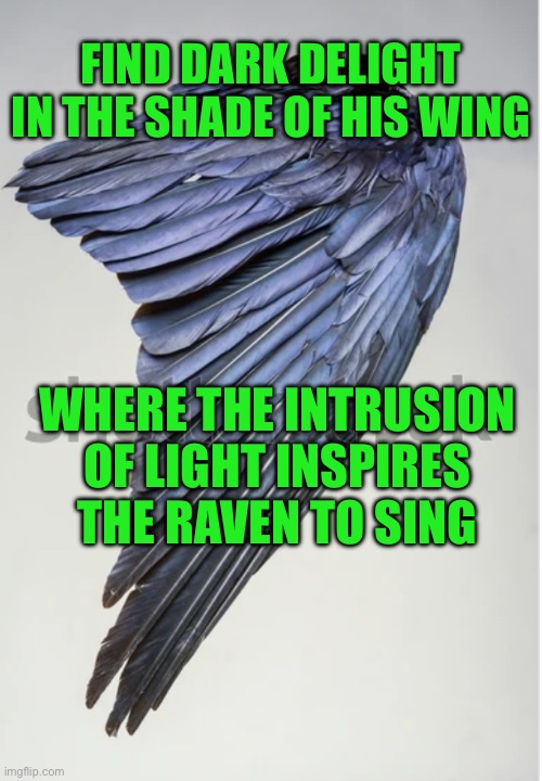 FIND DARK DELIGHT IN THE SHADE OF HIS WING; WHERE THE INTRUSION OF LIGHT INSPIRES THE RAVEN TO SING | image tagged in raven | made w/ Imgflip meme maker