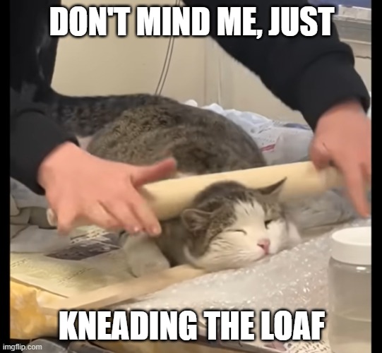 Is that cat actually liking it? | DON'T MIND ME, JUST; KNEADING THE LOAF | made w/ Imgflip meme maker