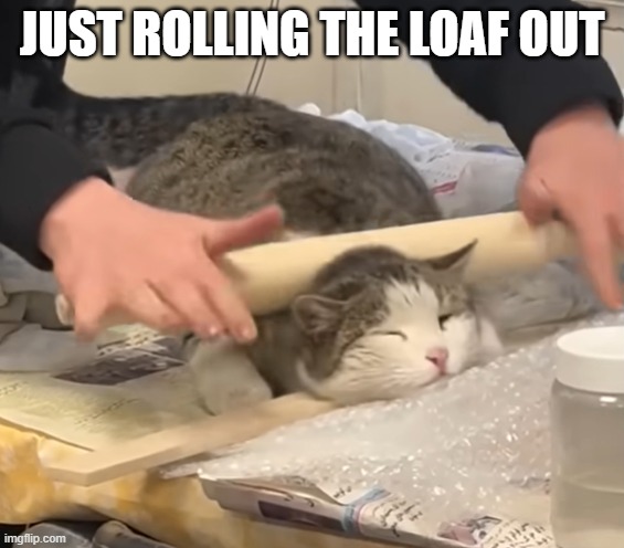 Gets a nice purr going | JUST ROLLING THE LOAF OUT | made w/ Imgflip meme maker