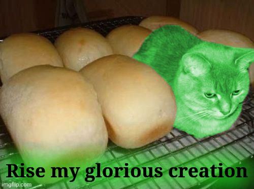Loaf RayCat | Rise my glorious creation | image tagged in loaf raycat | made w/ Imgflip meme maker