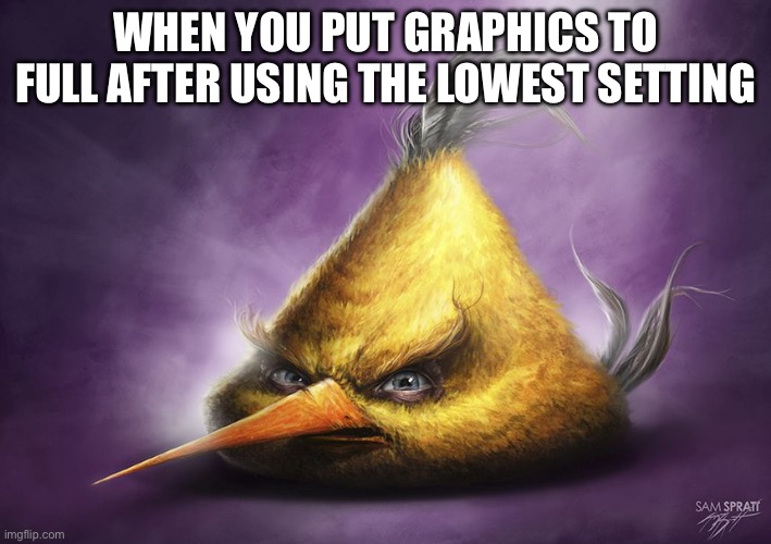 graphics full | WHEN YOU PUT GRAPHICS TO FULL AFTER USING THE LOWEST SETTING | image tagged in realistic yellow angry bird | made w/ Imgflip meme maker