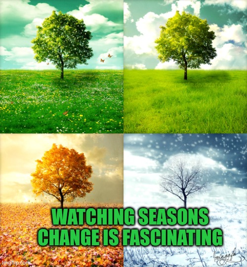 Changing seasons | WATCHING SEASONS CHANGE IS FASCINATING | image tagged in changing seasonsns,nature,beautiful nature | made w/ Imgflip meme maker