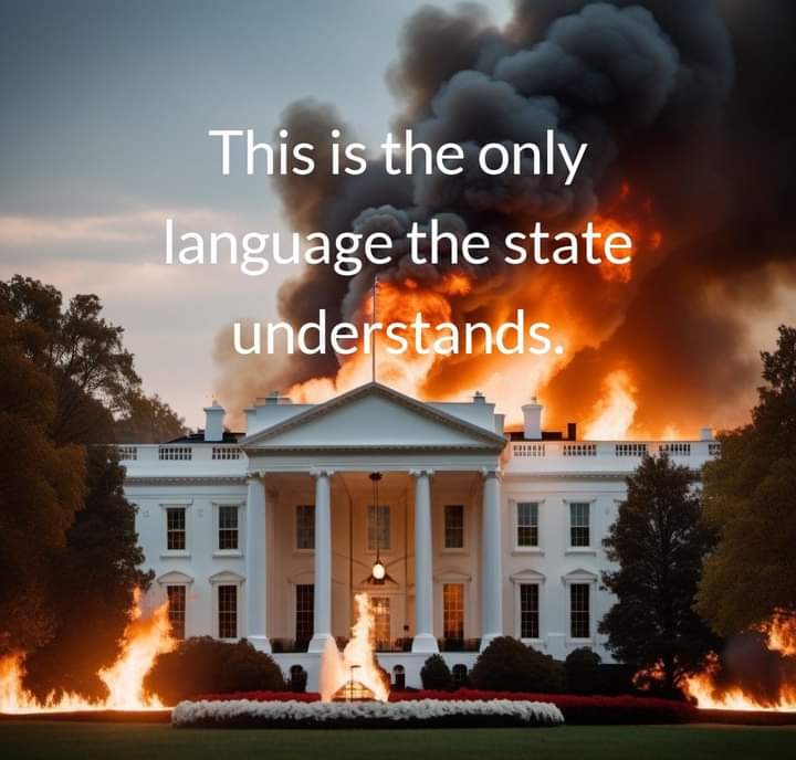 This is the only language the government understands Blank Meme Template