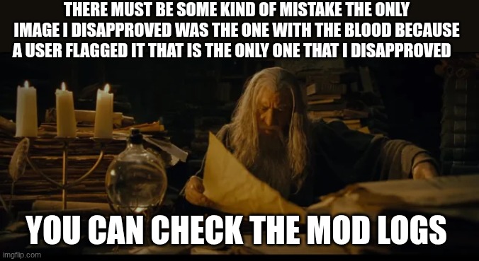 gandolf | THERE MUST BE SOME KIND OF MISTAKE THE ONLY IMAGE I DISAPPROVED WAS THE ONE WITH THE BLOOD BECAUSE A USER FLAGGED IT THAT IS THE ONLY ONE THAT I DISAPPROVED; YOU CAN CHECK THE MOD LOGS | image tagged in gandolf | made w/ Imgflip meme maker