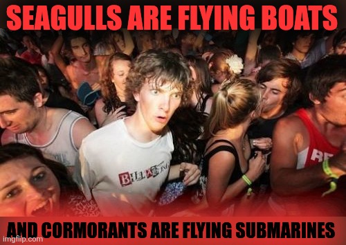 The Hunt For Red October | SEAGULLS ARE FLYING BOATS; AND CORMORANTS ARE FLYING SUBMARINES | image tagged in memes,sudden clarity clarence,seagulls,cormorants,the hunt for red october,the hunt for green october | made w/ Imgflip meme maker