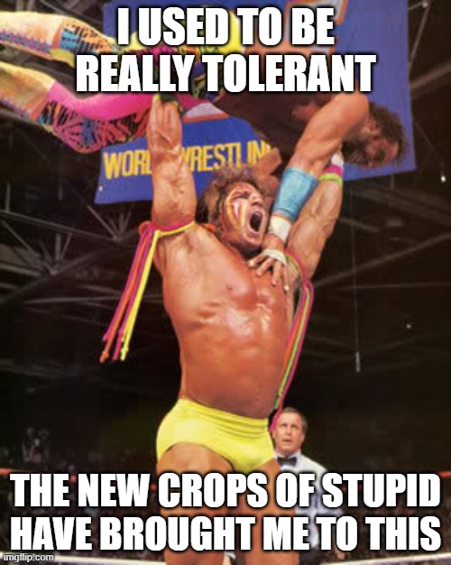 slammin' | I USED TO BE REALLY TOLERANT; THE NEW CROPS OF STUPID HAVE BROUGHT ME TO THIS | image tagged in slammin' | made w/ Imgflip meme maker