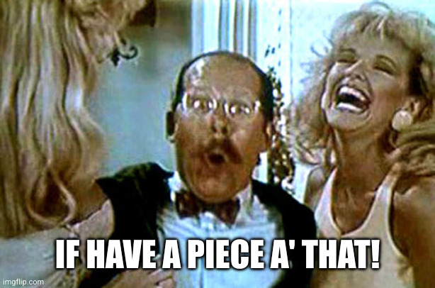 Robocop i'll buy that for a dollar | IF HAVE A PIECE A' THAT! | image tagged in robocop i'll buy that for a dollar | made w/ Imgflip meme maker